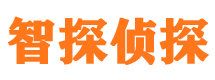 和布克赛尔外遇出轨调查取证